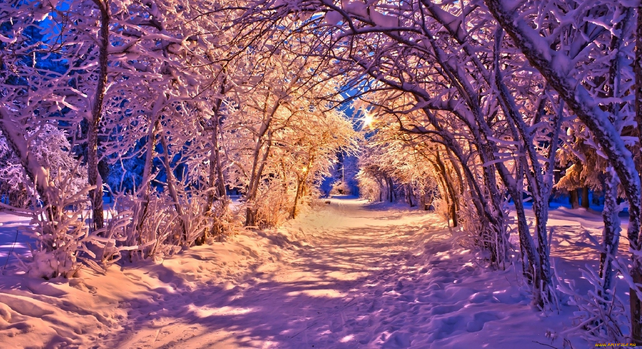 , , , , , , , , , beautiful, white, winter, nature, , road, forest, , lights, lanterns, park, bench, trees, path, sunset, snow, nice, cool
